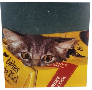 The Fairweather Band Meow UK 2016 klar türkis farbiges Vinyl Album SPS045V - Bild 1 von 5