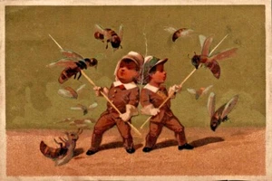 CHROMO DIVERS/ - Picture 1 of 1