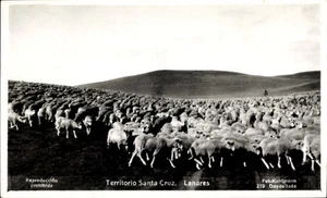 Ak Territorio Santa Cruz, Lanares - 4935173 - Picture 1 of 2