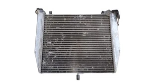 Liquid Cooling Radiator For YAMAHA YZF-R1 2003 - Picture 1 of 11