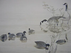 Thomas Quinn Sweet Fennel Coot & Geese Signed Limited Edition Art Print - Picture 1 of 1