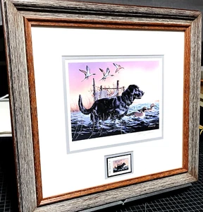 Thompson Crowe 1998 Texas State Duck Stamp Print With Stamp - Brand New Frame - Picture 1 of 5