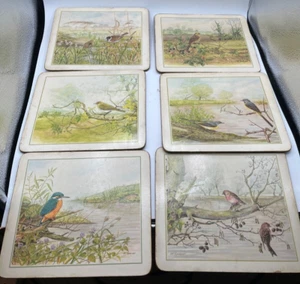 Vintage Marks Spencer M Spencer Birds Nature Place Mats, 6 Cork Backed 1980's - Picture 1 of 6