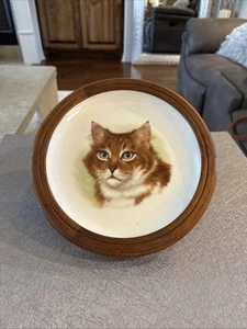 Wood Framed Tabby Cat Collec Plate Heraldic Staffordshire Fine Bone China 10"G70 - Picture 1 of 7