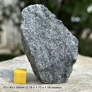 Hornblende Gneiss, roca metamórfica, muestra geológica, Noruega, genuino - Imagen 1 de 1