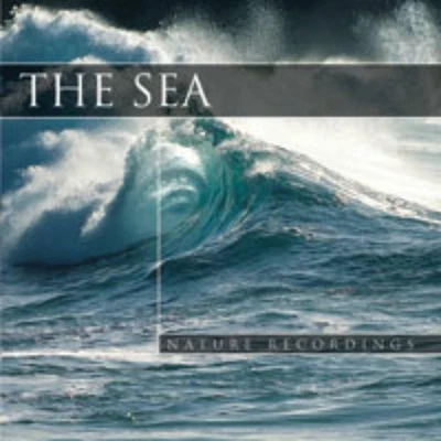 Tommy Gearhart The Sea (CD) - Image 1 of 2