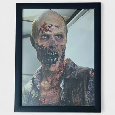 THE WALKING DEAD - 12x16" Glass Framed HQ Print (2013 AMC Poster Collection) #04 - Image 1 of 4