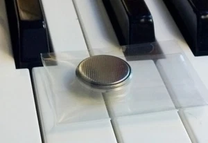 Batería de respaldo de repuesto para Roland D-10 D-20 D-50 D-550 GR-30 E-20 GP-100 - Imagen 1 de 1