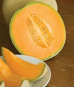 Cantaloupe Hale's Best Seed - 1 Packet - Picture 1 of 1