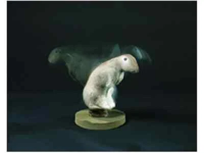 Feather Flex Rigor Rabbit Predator Decoy SF00920 New in Box - Image 1 of 2