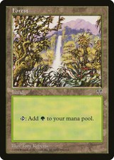 Forest (B) Mirage NM Basic Land MAGIC THE GATHERING MTG CARD ABUGames