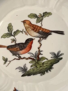 Herend Rothschild Bird Pasta Lunch Dessert Plate 8 15/16 inches 1522 Rare size - Picture 1 of 4