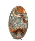 Natural Unikat Ammonit mit Silber glitzernden Pyrit Geode , 48x28x7mm 66ct(318)