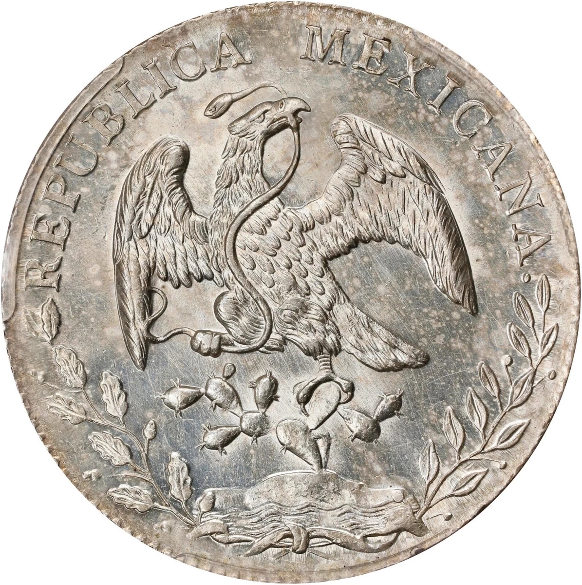 メキシコ 銀貨 1882年 リベルタッド メキシコ 銀貨 1882年 リベルタッド メキシコ 銀貨 1882年