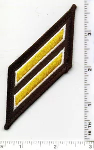 Multi Use/Agency Longevity Double Gold Patch (Hash Mark) 10 - 14 Jahre/Service - Bild 1 von 1