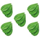  1000 Pcs Artificial Sashimi Garnish Leaves Easy to Clean Sushi Rolls