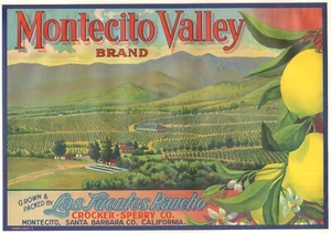 *Original* MONTECITO VALLEY Santa Barbara Las Fuentes Lemon Label NOT A COPY! - Picture 1 of 1