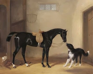 Black Stalion Horse & Dog Painting 8x10 200yr Ink Museum Grade Giclee Paper A18 - Picture 1 of 5