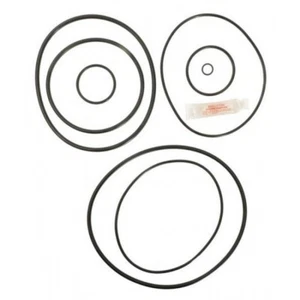 APC APCK1143 O-Ring Kit for Tagelus Filter - Picture 1 of 1