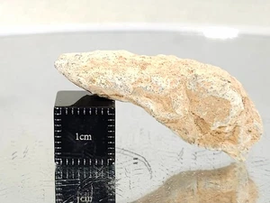 NWA 16520, Lunar (frag. breccia), 6,71 g, cara pulida meteorito, muestra enterrada - Imagen 1 de 12