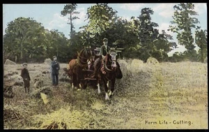 Farm Life Cutting Postcard - Picture 1 of 2