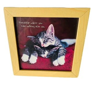Friendship Sleeping Kittens Wall Art Fur Baby Gift Friend Wood Frame Thank You - Picture 1 of 8