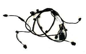 Genuine Bentley Continental GT/GTC Wiring Harness - North America - 3W0971095AE - Picture 1 of 2