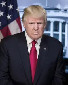 President Donald Trump MAGA Portrait 8 x 10 11 x 14 Photo Picture Photograph - Picture 1 of 1