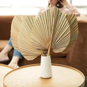 1/4Pcs Dried Natural Flowers Palm Leaves Dry Palm Fan Window Wall Hanging Decor - Picture 1 of 14