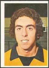 FKS 1974/75 WONDERFUL WORLD OF SOCCER STARS- #314-WOLVES-GEOFF PALMER