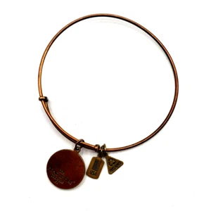 Wind & Fire Expander Bangle Bracelet Bronze Environmental Economic USA Charm - Picture 1 of 5