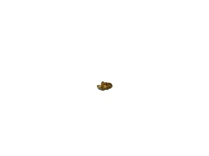 Australian Natural Gold Nugget 0.201g - Bild 1 von 1