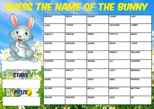 A4 GUESS THE NAME OF BUNNY RABBIT FUNDRAISING SCRATCHCARD Easter Spring Game 50 - Picture 1 of 1