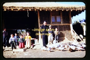 Mitte 50er Jahre Kodachrome Dia von Menschen in Korea auf einem Bauernhof w19b - Bild 1 von 1