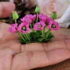 Dark Pink Opium Poppy Flowers Plants 3 Bunches Clay Miniature Dollhouse Flower