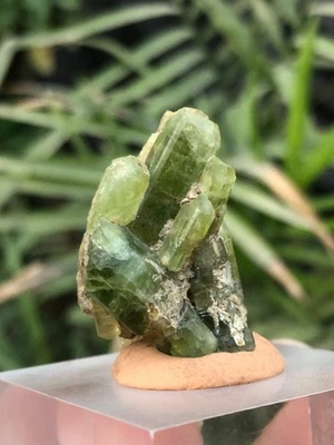 16.9 Gram of Green "Peridot" - Image 1 of 4