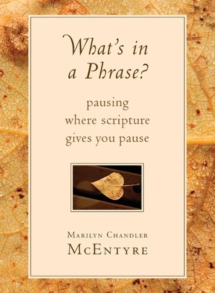 What's in a Phrase?: Pausing Where Scripture Gives You Pause by Marilyn Chandler - Image 1 of 1