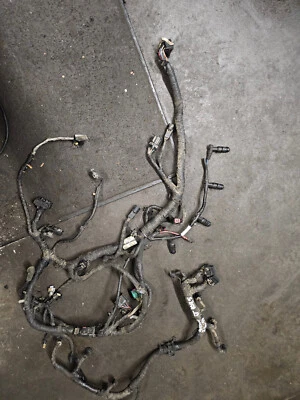 Ford F-250 Super Duty 2005 6,0 L arnés de motor diésel Foto 1 de 4