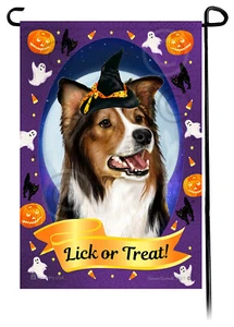 Halloween Garden Flag - Sable and White Border Collie - Picture 1 of 1