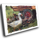 A656 White Red  Duck Chicken Funky Animal Canvas Wall Art Large Picture Prints