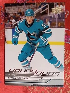 Ethan Cardwell 2024/25 Upper Deck Hockey YOUNG GUNS rc San Jose Sharks #459 - Picture 1 of 1