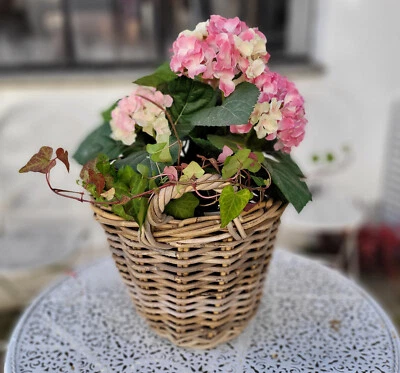 Korb Rattankorb Füllkorb Rattan geflochten rund 30x23cm Koobo Grey Landhauswelt - Bild 1 von 4