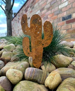 PIANTANA CACTUS PALO PICCHETTO GIARDINO CASA DECORATIVA ACCIAIO METALLO REGALO GRANDE F - Foto 1 di 3