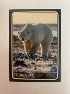 🔥Pete Alonso 2024 Topps Heritage Stickers #75Z-19 “Polar Bear” NY Mets - Picture 1 of 2