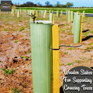 Homatz 10 Pack Wooden Garden Stakes - 30Cm Support for Plants & Trees - Picture 1 of 12