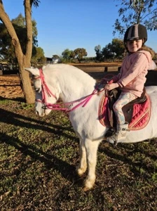 Horse Market Harborough/German Martingale Coloured Mini Pony Cob Full X-Full - Picture 1 of 3