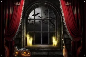 Telón de fondo de Halloween para fotografía horrible noche ventana escena fondo cem... - Imagen 1 de 6