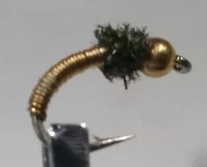 1 Dutzend - BH Brassie, Gold - Nymphe Nassfliege - Forelle - Bild 1 von 1