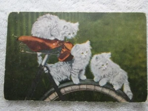 Antique 3 Kittens On Back Of A Bicycle Postcard Cat - Picture 1 of 2