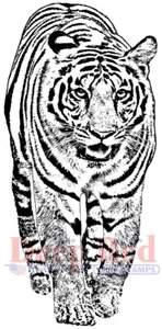 Deep Red Stamps Bengal Tiger Rubber Cling Stamp - Picture 1 of 4